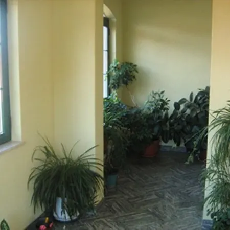 Guest house Krka Ivan 3*
