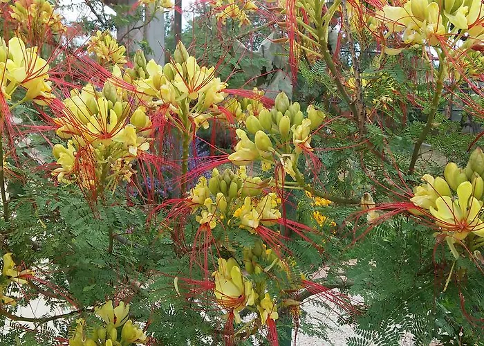 招待所 科尔卡伊万旅馆