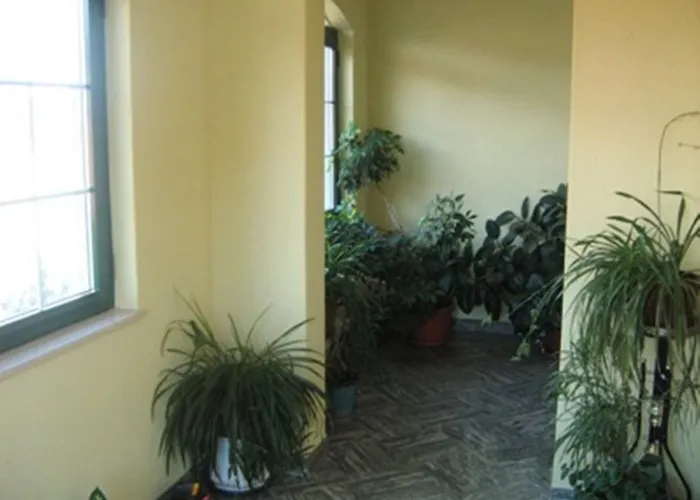 ゲストハウス Krka Ivan 3*